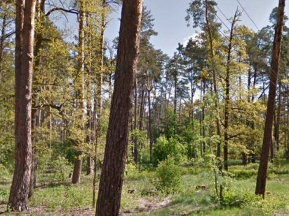 Ділянка 8 соток. Буча  поряд Академия спорту.Прямий виїзд на Київ