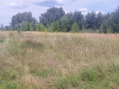 Продам участок 10 соток 14 000дол.