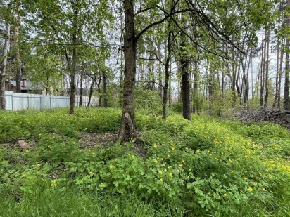 Продаж земельної ділянки