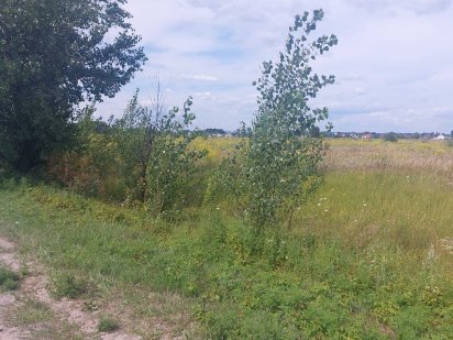 Продам участок 8 соток Ірпінь