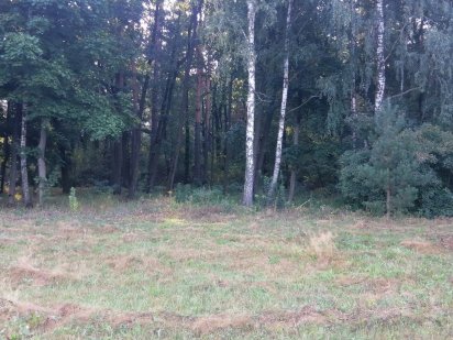 Участок возле леса Ирпень Ирпень