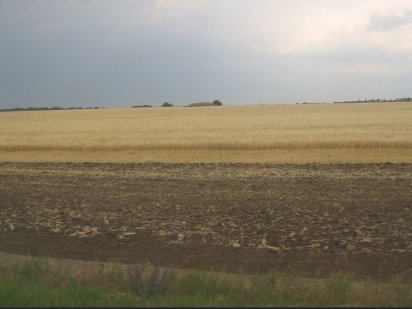 Продам пай, землю Суми