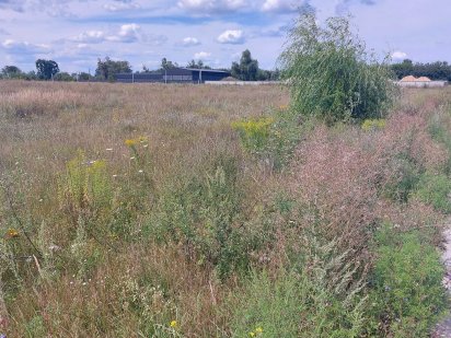 Продам участок 20000 дол.ТОРг Ірпінь