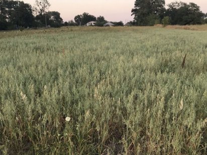 Продам земельну ділянку