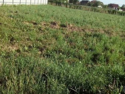 Продаж землі 5 км від Франківська Івано-Франківськ