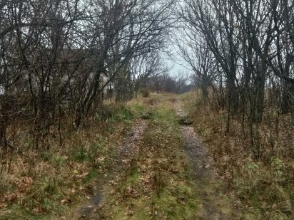 Дачный участок СТ Барвинок Суми