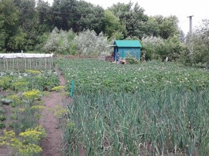 Дача у районі Тополі 12 соток. Суми