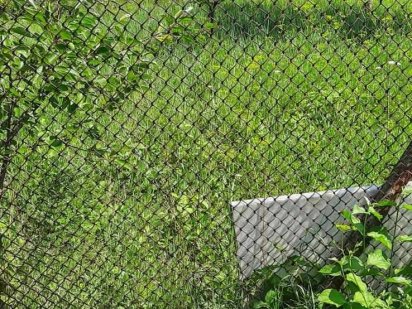 Дачний участок Александрі Чернівці