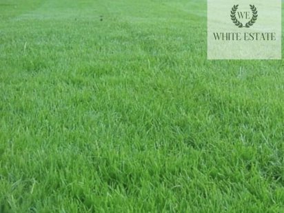 Ділянка на Східному Тернополь