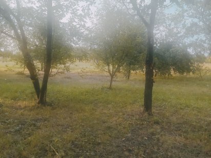 Земельна ділянка в центрі міста Суми