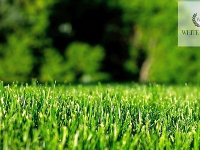 Подаж земельної ділянки Тернопіль