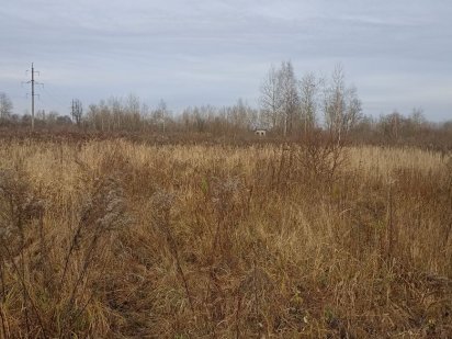 Продаж земельної ділянки. с. Хриплин Івано-Франківськ. Івано-Франківськ