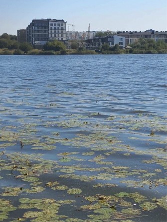 Унікальна пропозиція земельна Ділянка на березі озера  23 сот землі - фото 1