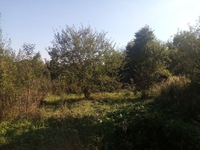 Дачна ділянка Дем'янів ЛАЗ Івано-Франківськ