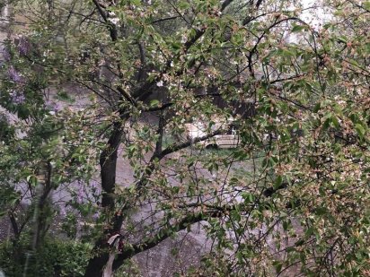 Земельна ділянка м.Чернівці ,вул.Енергетична Чернівці