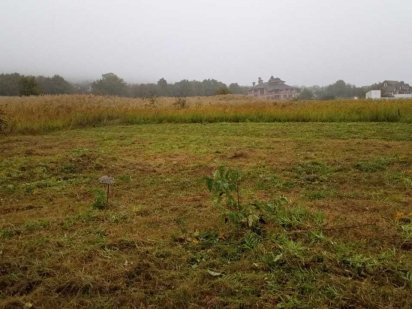 Земельна ділянка в місті під будівництво Чернівці