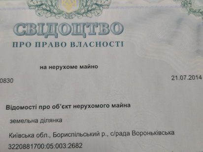 Земельна ділянка під садівництво, торг Бориспіль