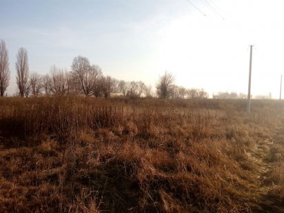 Продам власну ділянку  біля  Бров.окружной Бориспіль