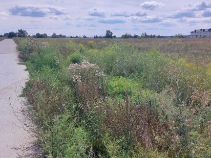 Продам участок 200 соток. 600 дол. за сотку.ТОРГ. Ірпінь