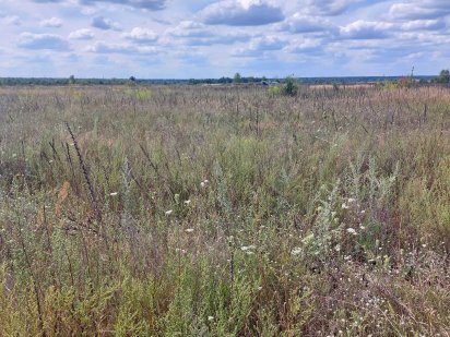 Продам участок под дом 6 соток Ірпінь