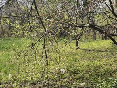 Ділянка, р-н кемпінгу Чернівці