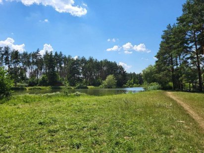 Ділянка в лісі посеред природи Ровно