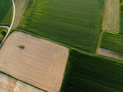 Продаж 490 га  у Рівненській області Ровно