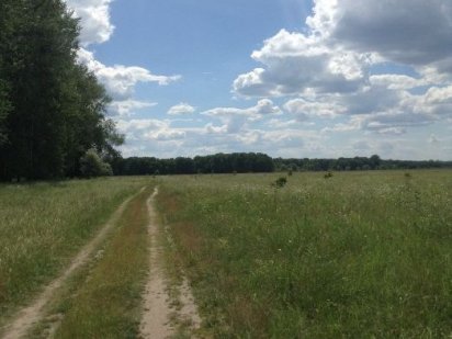 Продажа Земельного участка Суми