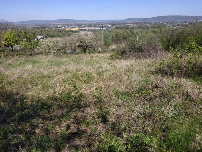 Дачний участие  /дача/ Чернівці