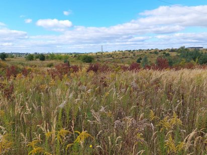 Продам пай Молодіжне 3,2 гектари Рівне