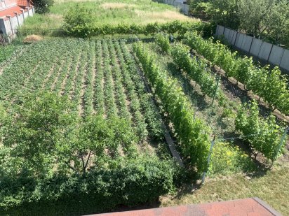 Продам участок Черновцы