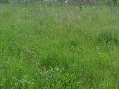 Земельна ділянка Чернівці