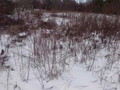 Продам гарну земельну ділянку в затишному районі міста. Рівне