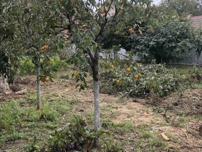 Продам дачну ділянку на Шахті Ужгород