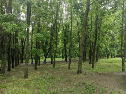 Продажа участка в районе 8-й школы Полтава