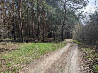 Участок возле базы отдыха "Два дубки" Полтава