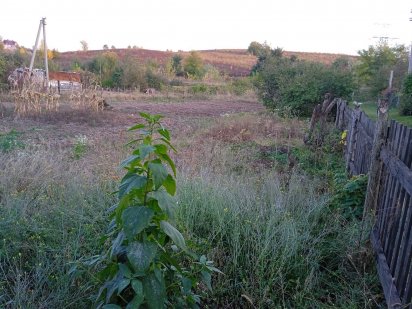 Земля.Рівне.Район зоопарку Рівне