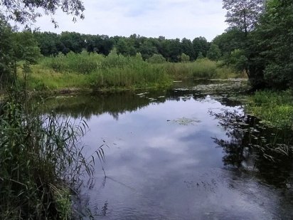 Продажа участка в Верхолах с прямым выходом к реке Коломак Полтава