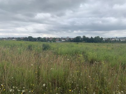 Продам земельну ділянку 16сот Новий двір Рівне, біля Смерекової. ТОРГ Рівне