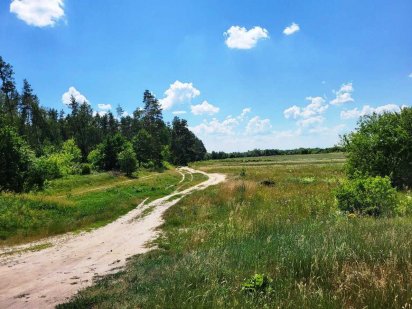 Земельна ділянка біля лісу і озера Рівне