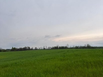 Продам землю сільськогосподарського призначення Ровно