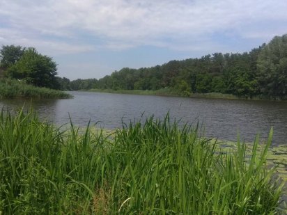 шикарный участок на берегу канала Дахновка Набережная рядом Днепр Черкаси