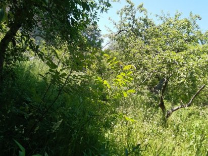 Дачный участок, земельна ділянка, дачна ділянка Кемпинг Черновцы