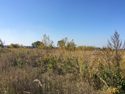 Продається ділянка в кооперативі Розвиток Черкаси