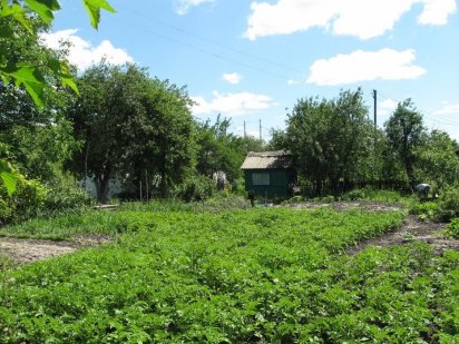 Продам дачный участок Чернигов