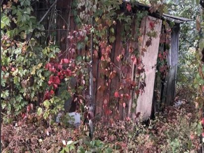 Продається земельна ділянка в садовому кооперативі "Садівник" Черкаси