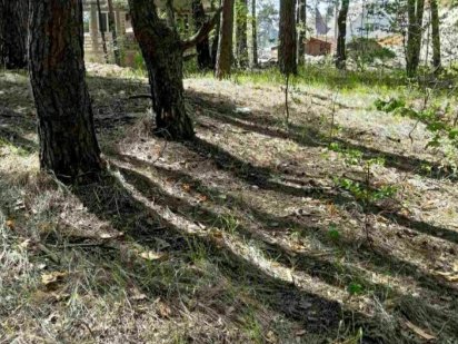 Продам фасадный угловой участок в Быковне, по асфальтированной улице! Киев