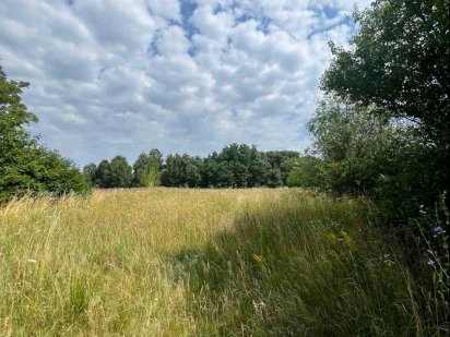 Продаж участок  16 сот Киенка Чернигов