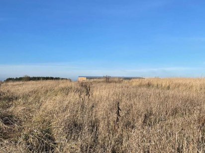 Земельна ділянка 24 сотки р-н Масани.NN Чернігів