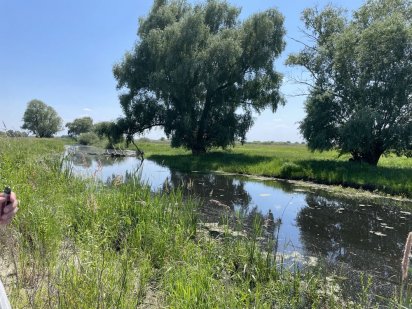 Ділянка під котеджне містечко (Осокорки) Киев